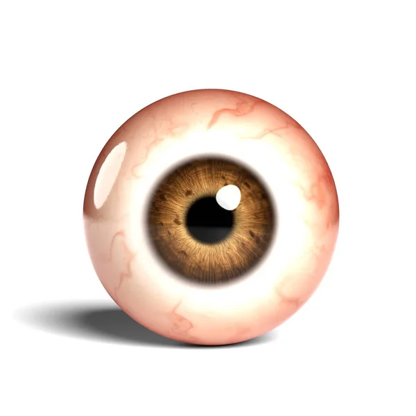 Front View Realistic Human Eyeball Isolated Wihte Background Rendering — Stock Photo, Image