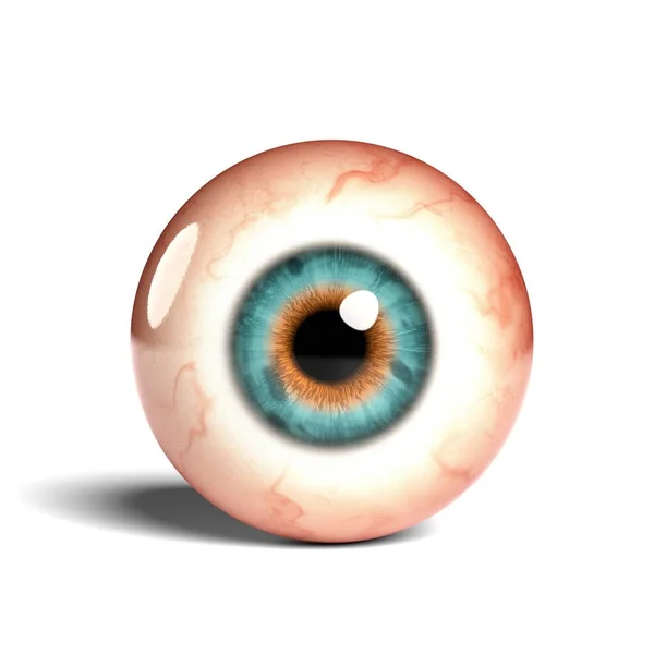 白地に隔離された現実的な人間の眼球のフロントビュー 3Dレンダリング — ストック写真