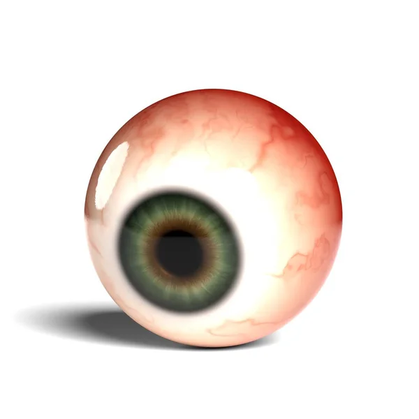 白地に隔離された現実的な人間の眼球の側面図 3Dレンダリング — ストック写真