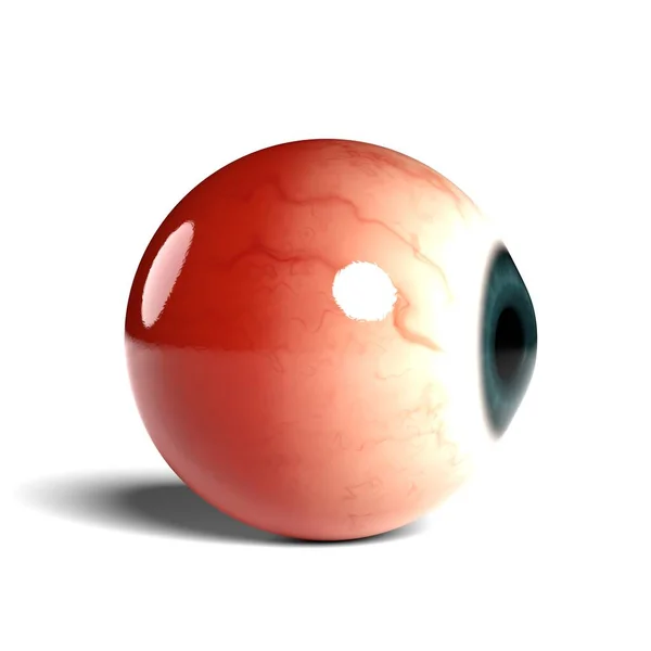 基于Wihte背景的真实感人眼球的侧面视图 3D渲染 — 图库照片