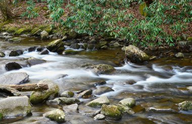 Gatlinburg, Tennessee 'de bir nehre yavaş yavaş maruz kalma