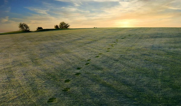 朝のデューでゴルフコースフェアウェイで劇的な日の出に向かって歩く足跡 ロイヤリティフリーのストック画像