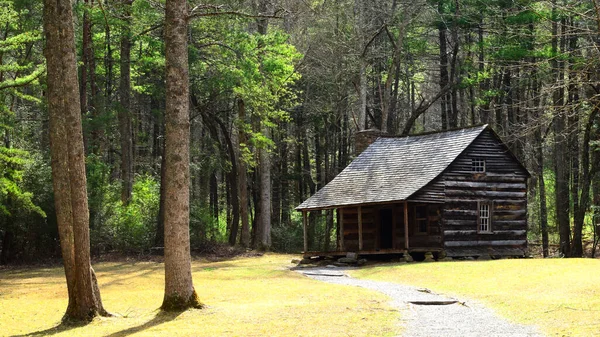 Old Rustic Cabin Nestled Woods Smoky Mountains Daylight Streaming Trees Stock Photo
