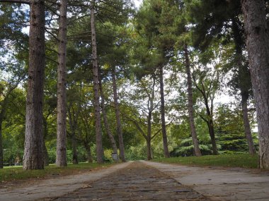 Eski Pamplona, Navarra, Comunidad Foral Navarra, İspanya 'daki ana caddeler.