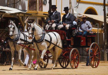 Jerez de la Froentra At Fuarı, Mayıs 2023, Cdiz ili, Endülüs, İspanya.