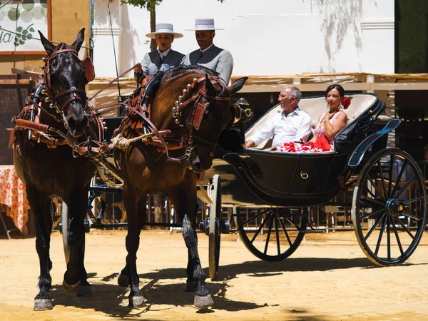 Jerez de la Froentra At Fuarı, Mayıs 2023, Cdiz ili, Endülüs, İspanya.