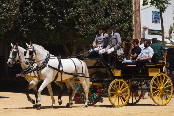Jerez de la Froentra At Fuarı, Mayıs 2023, Cdiz ili, Endülüs, İspanya.