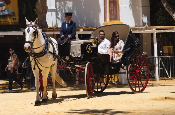 stock image Horse Fair in Jerez de la Froentra, May 2023, Cdiz province, Andalusia, Spain.