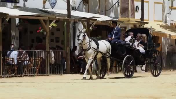 2023年5月在西班牙安达卢西亚加的斯省Jerez Frontera举行的马展 — 图库视频影像