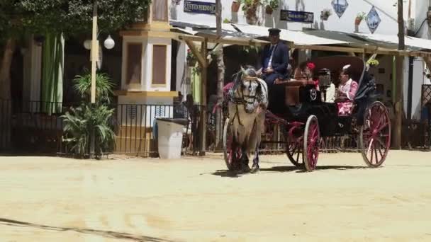 Fiera Del Cavallo Jerez Frontera Maggio 2023 Provincia Cadice Andalusia — Video Stock