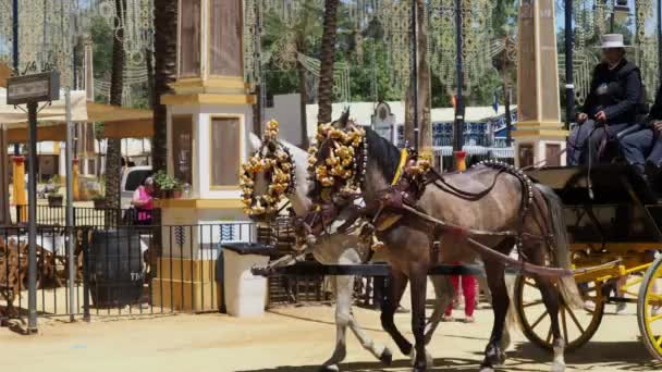 Feria Del Caballo Jerez Frontera Mayo 2023 Provincia Cádiz Andalucía — Vídeos de Stock