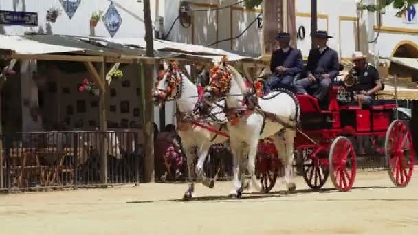 Paardenbeurs Jerez Frontera Mei 2023 Provincie Cadiz Andalusië Spanje — Stockvideo