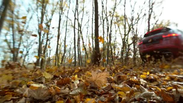 Movimento Super Lento Close Carro Correndo Folhas Outono Filmado Câmera — Vídeo de Stock