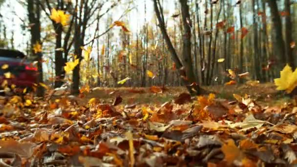 Супер Замедленное Движение Крупным Планом Автомобиля Работающего Осенних Листьях Снято — стоковое видео