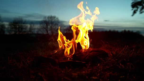 Gerakan Super Lambat Api Unggun Ditempatkan Padang Rumput Difilmkan Pada — Stok Video