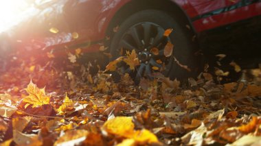 Uçan yapraklarla orman yolunda araba sürüyor. Düşen kuru yapraklarla sonbahar konsepti.