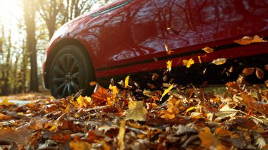 Uçan yapraklarla orman yolunda araba sürüyor. Düşen kuru yapraklarla sonbahar konsepti.
