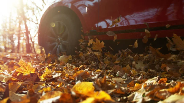用树叶在森林路上驾驶的汽车 秋天的季节概念与落干的叶子 — 图库照片