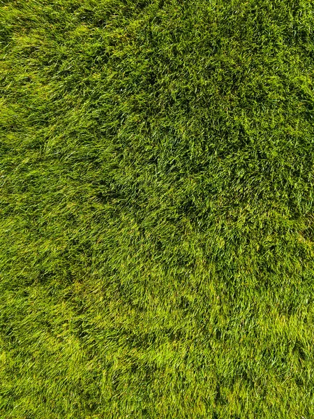 Bakgrund Ett Grönt Gräs Texturgrön Gräsmatta Golfyta — Stockfoto