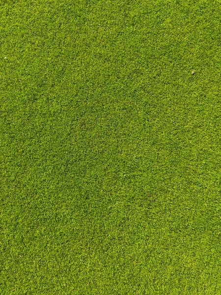Antecedentes Una Hierba Verde Textura Césped Verde Superficie Golf —  Fotos de Stock