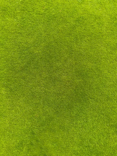 Тло Зеленої Трави Текстура Зеленого Газону Поверхня Гольфу — стокове фото