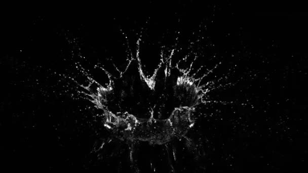 Σούπερ Αργή Κίνηση Του Πιτσιλίσματος Νερό Στέμμα Σχήμα Μαύρο Φόντο — Αρχείο Βίντεο