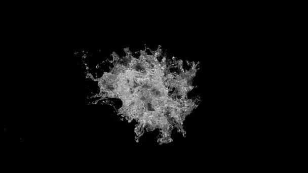 超慢速运动的水冠形状在黑色背景上 用高速摄像机拍摄 每秒1000英尺 头像镜头 — 图库视频影像