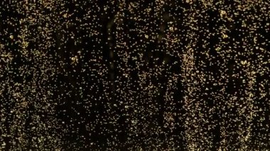 Şampanya kabarcıkları dokusunun süper yavaş çekimi. Yüksek hızlı sinema kamerası, 1000 fps.