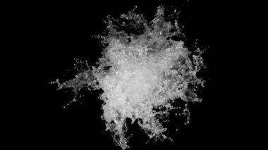 Siyah arka planda su kruvazörü şeklindeki süper yavaş çekim. Yüksek hızlı sinema kamerasıyla çekildi, 1000fps. Üst görüntü görüntüsü.