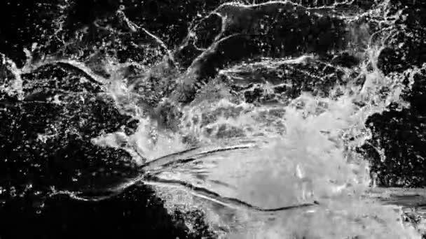 Super Zeitlupe Des Wassers Spritzt Kollision Isoliert Auf Schwarzem Hintergrund — Stockvideo