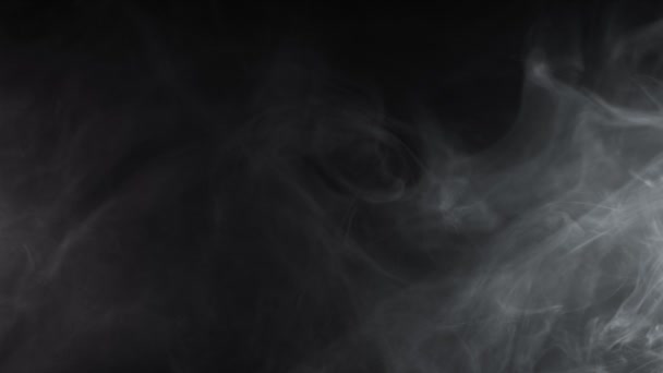 Movimento Super Lento Textura Fumaça Branca Isolada Fundo Preto Filmado — Vídeo de Stock