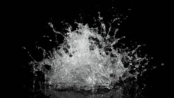 Vatten Stänk Isolerad Svart Bakgrund Frys Rörelse Exploderande Vatten Upp — Stockfoto