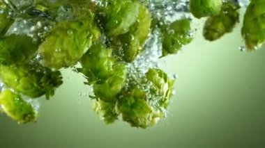 Taze kozalakların suya düşmesi çok yavaş bir hareket. Sualtı çekimi. Yüksek hızlı sinema kamerası, 1000 fps. Hız rampası etkisi.