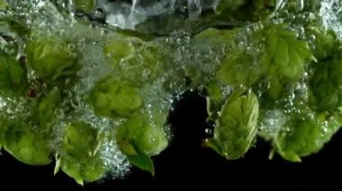 Taze kozalakların suya düşmesi çok yavaş bir hareket. Sualtı çekimi. Yüksek hızlı sinema kamerası, 1000 fps. Hız rampası etkisi.