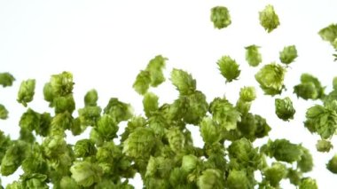 Flying Fresh Hops konilerinin Süper Yavaş Hareketi. Yüksek Hız Sinema Kamerası, 1000fps.
