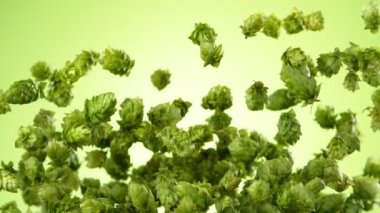 Flying Fresh Hops konilerinin Süper Yavaş Hareketi. Yüksek Hız Sinema Kamerası, 1000fps.