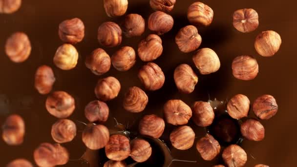 Super Slow Motion Falling Hazelnuts Melted Chocolate Filmed High Speed — Vídeos de Stock