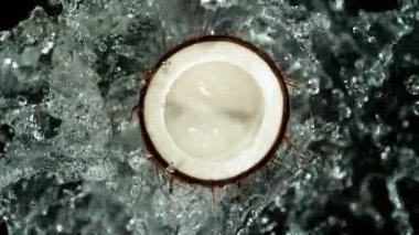 Suya batırılmış hindistan cevizli süper yavaş çekim. Yüksek hızlı sinema kamerası Phantom VEO 4K, 1000 fps. Siyah arka planda izole edilmiş. Hız rampası etkisi.