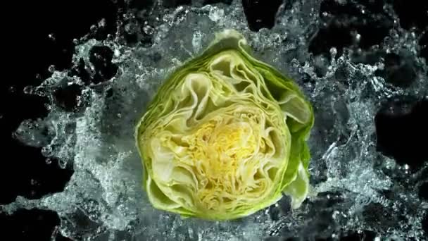 Super Zeitlupe Des Rohen Salatkopfes Mit Wasserspritzer Mit Wasserspritzern Gefilmt — Stockvideo