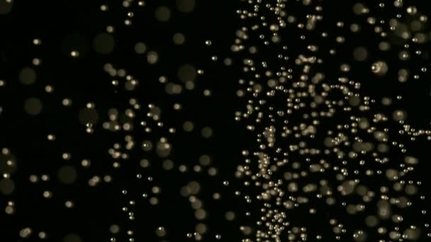 Super Langzame Beweging Van Champagne Bubbels Textuur Gefilmd Hoge Snelheid — Stockvideo