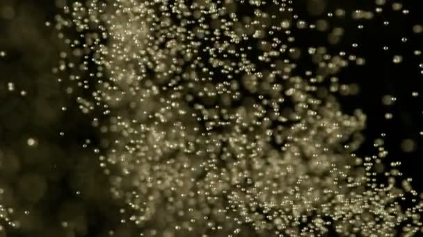 Сверхмедленное Движение Пузырей Шампанского Текстуры Съемки Камеру Высокоскоростного Кино 1000 — стоковое видео