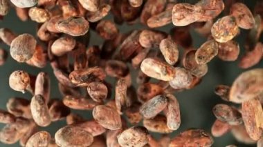 Kakao çekirdeği ve barutun dönüşümlü çekimi çok yavaş. Yüksek hızlı sinema kamerası Phantom VEO 4K 'da çekildi, 1000 fps yüksek hızlı sinüs botuna yerleştirildi. Kamera döndürme ile yukarı hareket ediyor.