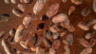 Kakao çekirdeği ve barutun dönüşümlü çekimi çok yavaş. Yüksek hızlı sinema kamerası Phantom VEO 4K 'da çekildi, 1000 fps yüksek hızlı sinüs botuna yerleştirildi. Kamera döndürme ile yukarı hareket ediyor.