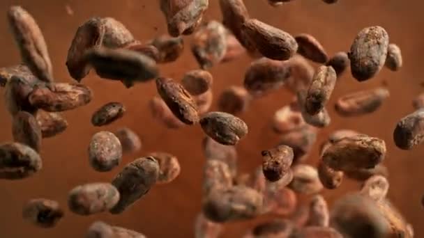Super Slow Motion Rotating Cocoa Beans Powder Filmed High Speed — Stock Video