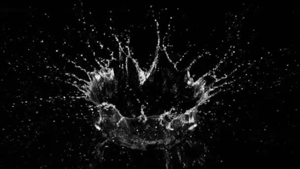 Сверхмедленное Движение Водяной Короны Черном Фоне Съемки Камеру Высокоскоростного Кино — стоковое видео