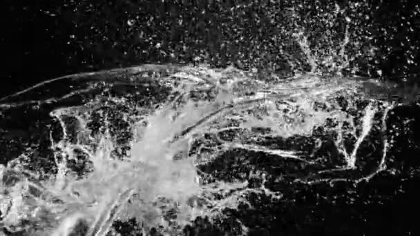 水的超级慢速运动在碰撞中飞溅 隔离在黑色背景上 用高速摄像机拍摄 每秒1000英尺 速度斜坡效应 — 图库视频影像