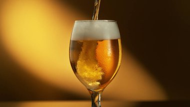 Glass of light beer pouring on shiny dark gold background. Studio shot with isolated glass of beer.