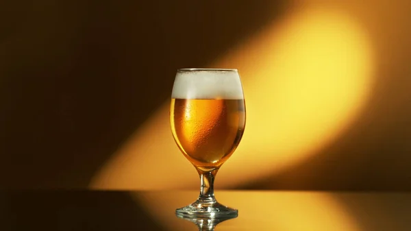 Glass of light beer on shiny dark golden background. Studio shot with isolated glass of beer.