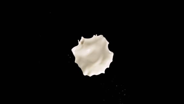 Realistic Super Slow Motion Flying Milk Splash Black Background Filmed — Stockvideo