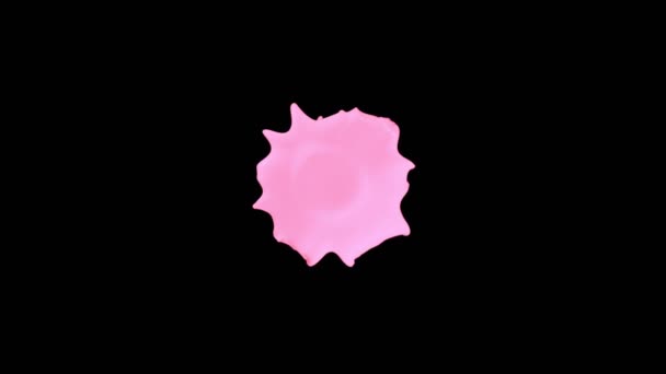 Super Slow Motion Flying Abstract Pink Splash Black Background Inglês — Vídeo de Stock